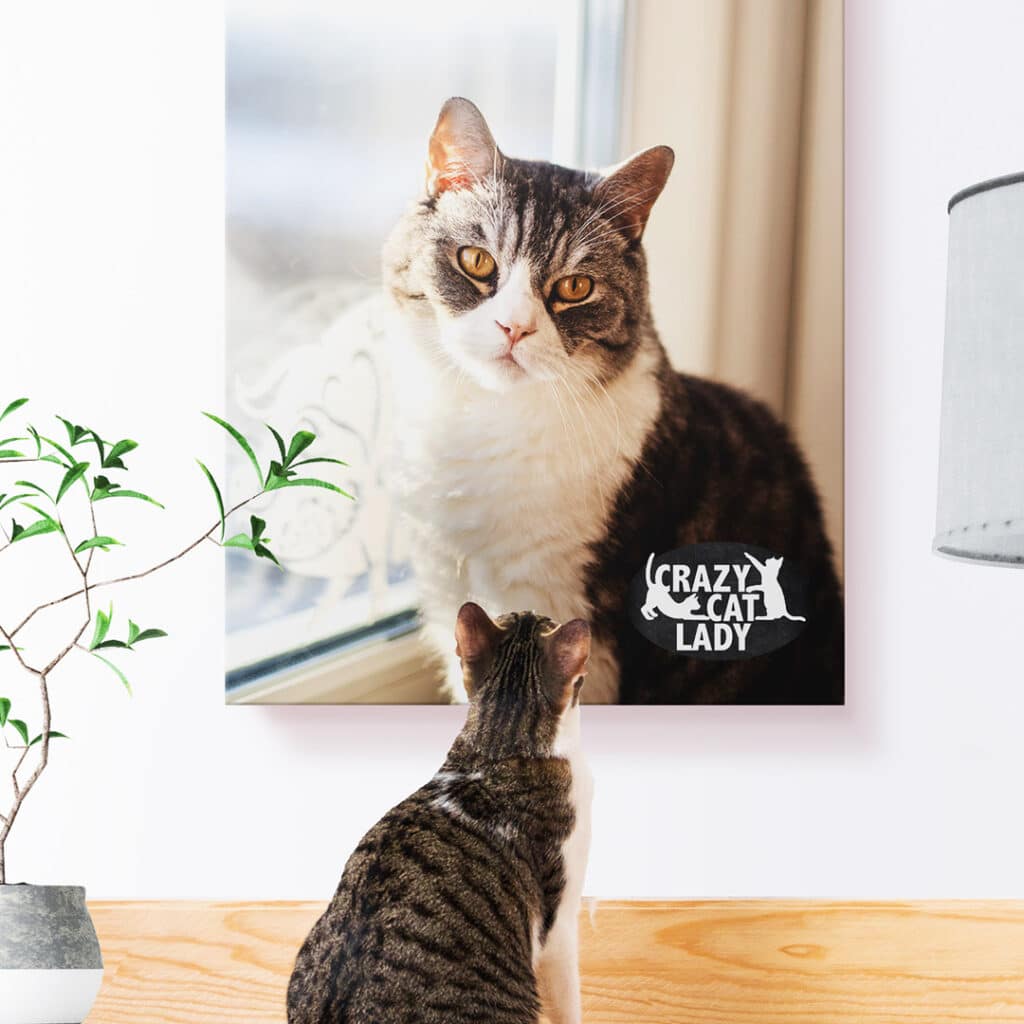 Let your pet parent flag fly!