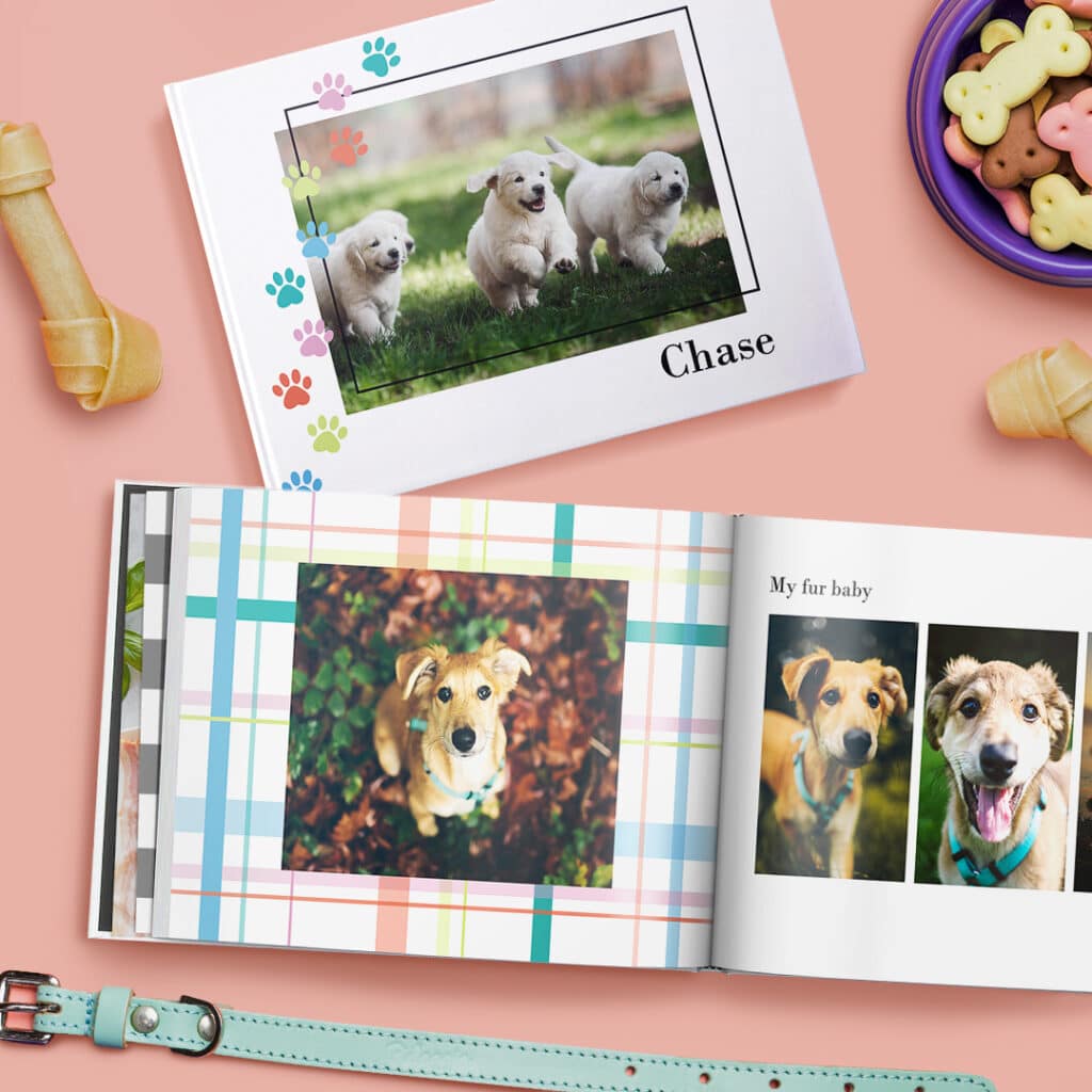 Celebrate Pets On National Pet Day With Custom Pet Gifts Made On snapfish.uk.com 