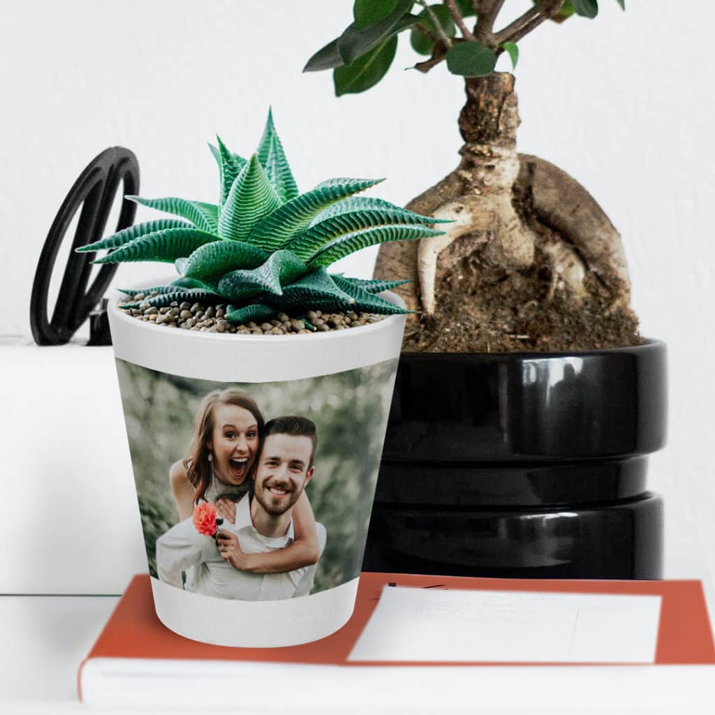 Create a Custom Plant Pot & Fill it With Succulents & Herbs That Are Easy to Care For