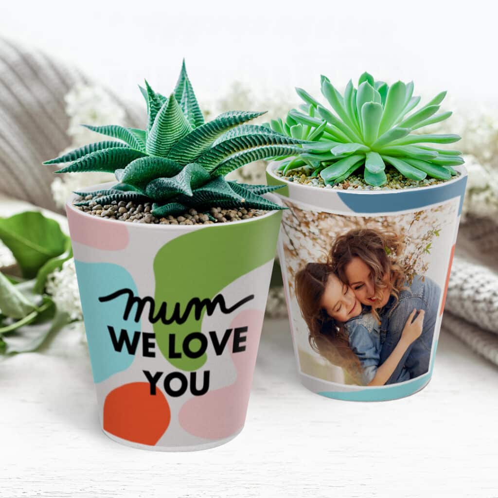 Create a Custom Plant Pot & Fill it With Succulents & Herbs That Are Easy to Care For