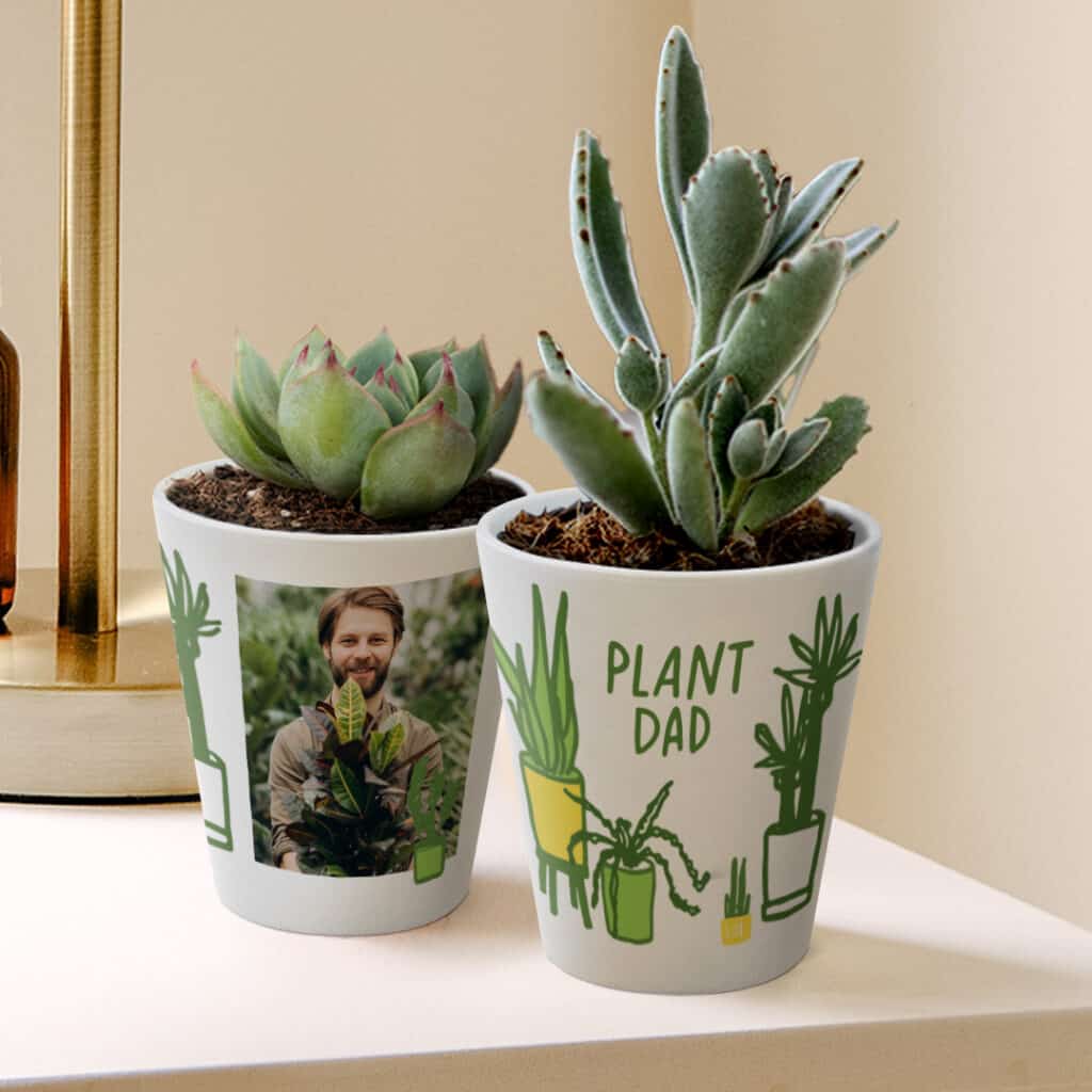 Create a Custom Plant Pot & Fill it With Succulents & Herbs That Are Easy to Care For