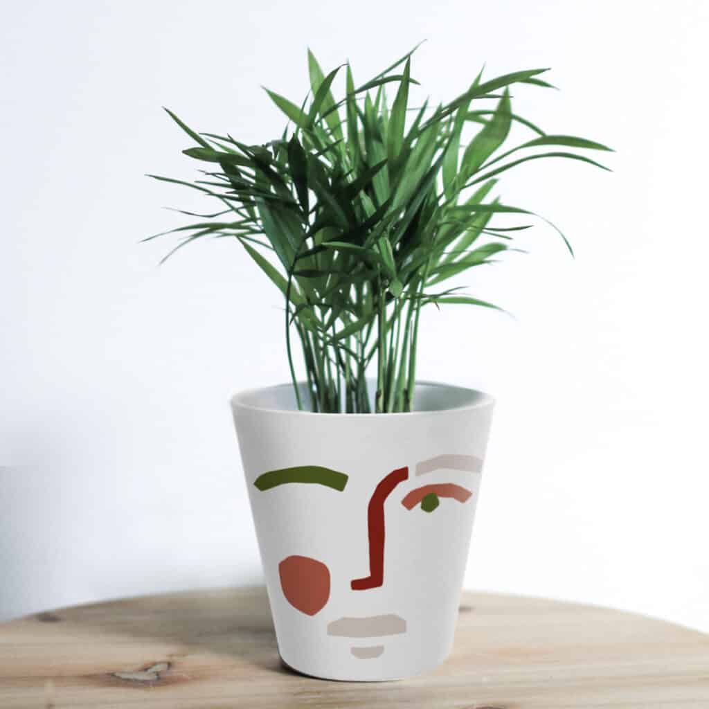 Create a Custom Plant Pot & Fill it With Succulents & Herbs That Are Easy to Care For